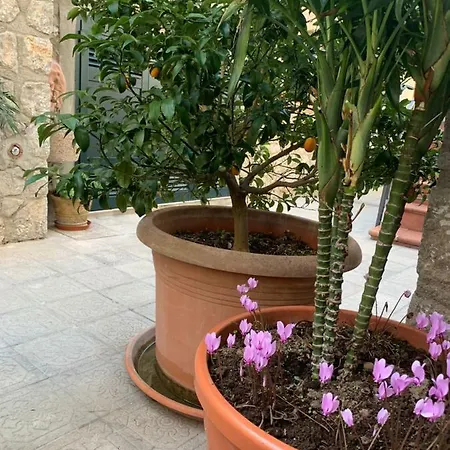 Hedera Capri Anacapri (Isola di Capri)