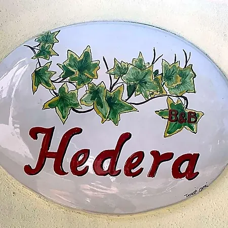 Hedera Capri