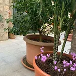 Hedera Capri アナカプリ