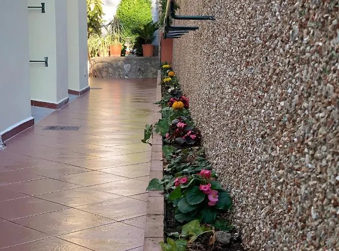 Hedera Capri Bed and Breakfast Ανακάπρι